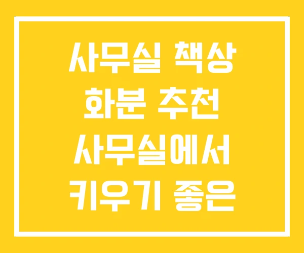 사무실 책상 화분 추천 사무실에서 키우기 좋은 식물 사무실 책상 화분 추천 사무실에서 키우기 좋은 식물