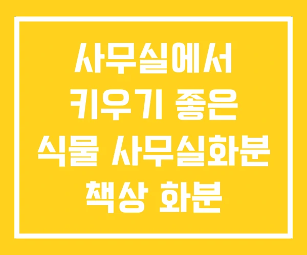 사무실에서 키우기 좋은 식물 사무실화분 책상 화분