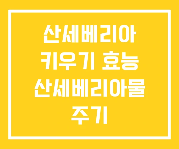 산세베리아 키우기 효능 산세베리아물 주기 산세베리아 키우기 효능 산세베리아물 주기