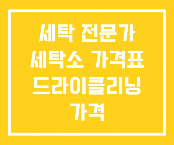 세탁 전문가 세탁소 가격표 드라이클리닝 가격