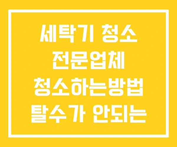 세탁기 청소 전문업체 청소하는방법 탈수가 안되는 이유
