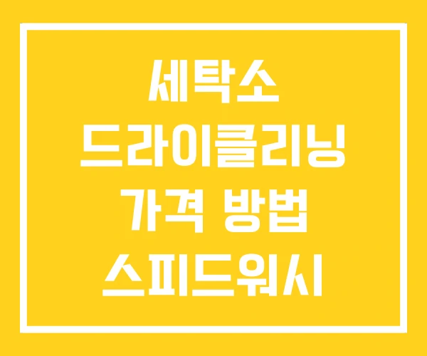 세탁소 드라이클리닝 가격 방법 스피드워시