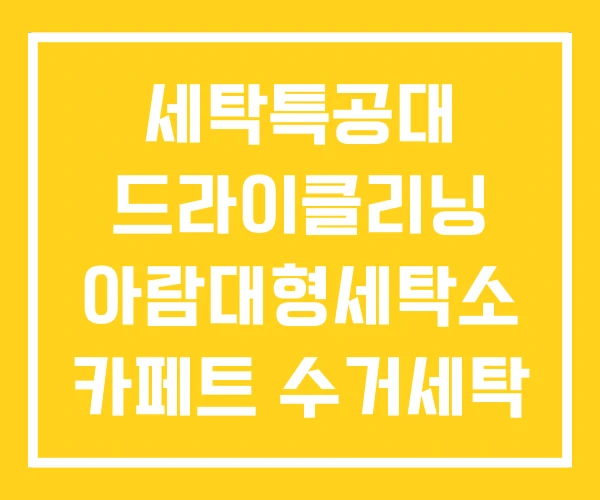 세탁특공대 드라이클리닝 아람대형세탁소 카페트 수거세탁