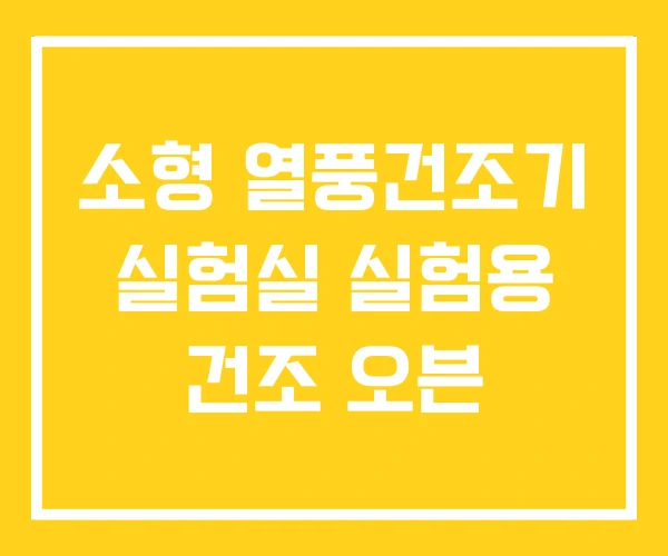 소형 열풍건조기 실험실 실험용 건조 오븐 소형 열풍건조기 실험실 실험용 건조 오븐