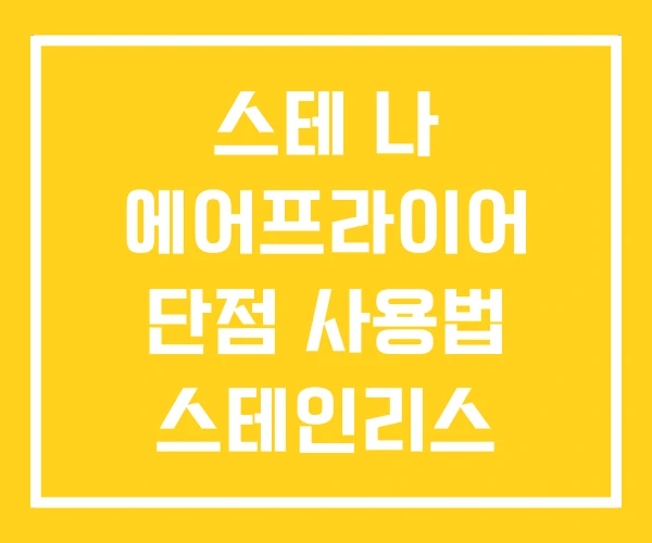 스테 나 에어프라이어 단점 사용법 스테인리스 304 오븐