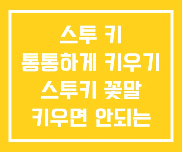 스투 키 통통하게 키우기 스투키 꽃말 키우면 안되는 이유 스투 키 통통하게 키우기 스투키 꽃말 키우면 안되는 이유