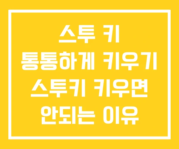 스투 키 통통하게 키우기 스투키 키우면 안되는 이유 스투 키 통통하게 키우기 스투키 키우면 안되는 이유