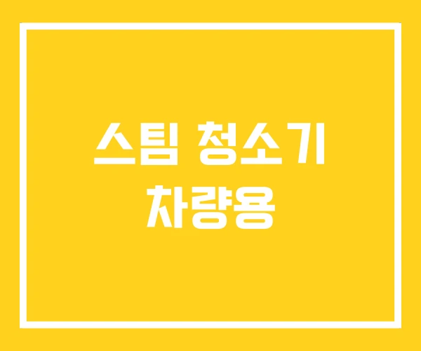 스팀 청소기 차량용 스팀 청소기 차량용