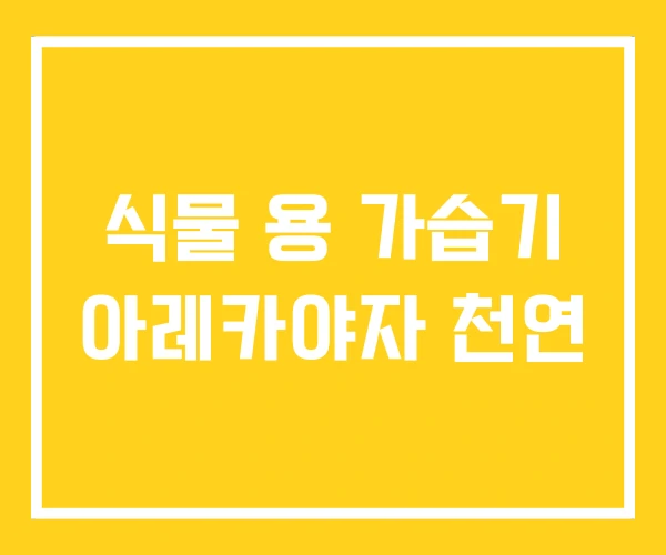 식물 용 가습기 아레카야자 천연