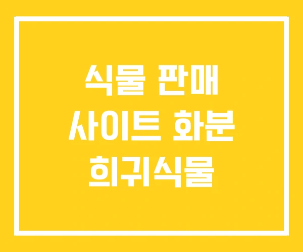 식물 판매 사이트 화분 희귀식물