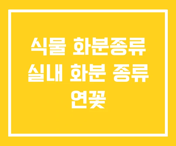 식물 화분종류 실내 화분 종류 연꽃