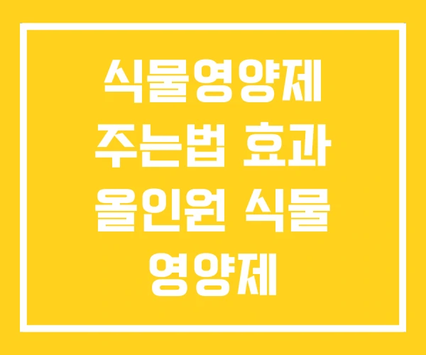 식물영양제 주는법 효과 올인원 식물 영양제