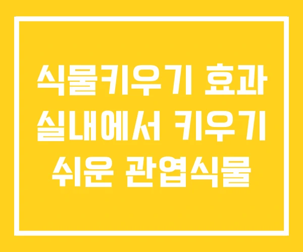 식물키우기 효과 실내에서 키우기 쉬운 관엽식물