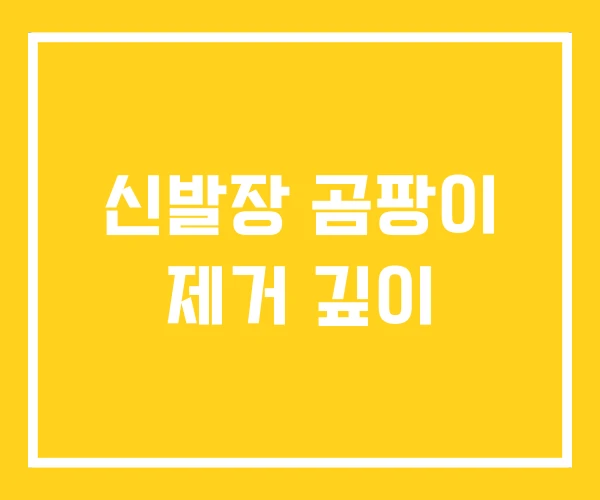 신발장 곰팡이 제거 깊이