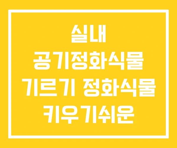 실내 공기정화식물 기르기 정화식물 키우기쉬운 실내 공기정화식물 기르기 정화식물 키우기쉬운