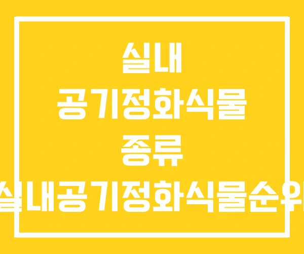 실내 공기정화식물 종류 실내공기정화식물순위 실내식물 실내 공기정화식물 종류 실내공기정화식물순위 실내식물
