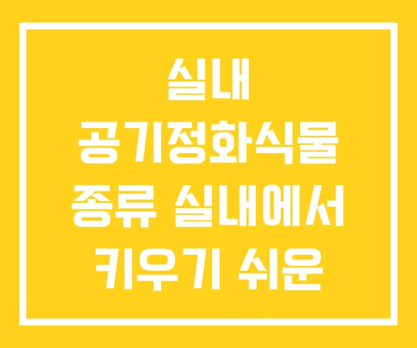 실내 공기정화식물 종류 실내에서 키우기 쉬운 식물 작은
