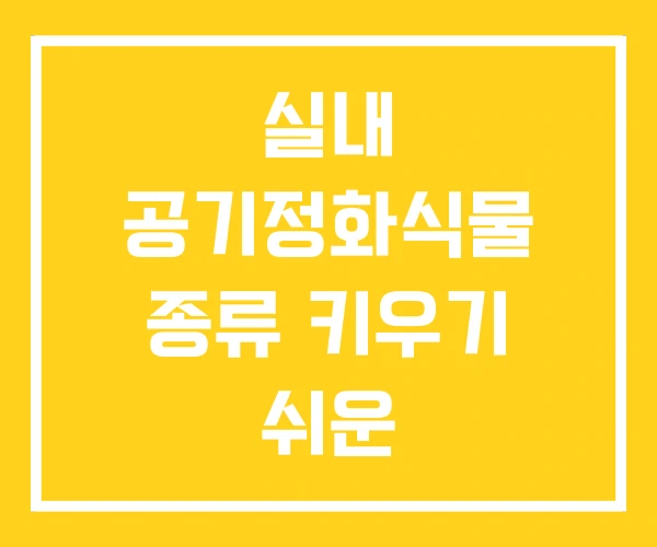실내 공기정화식물 종류 키우기 쉬운 실내 공기정화식물 종류 키우기 쉬운