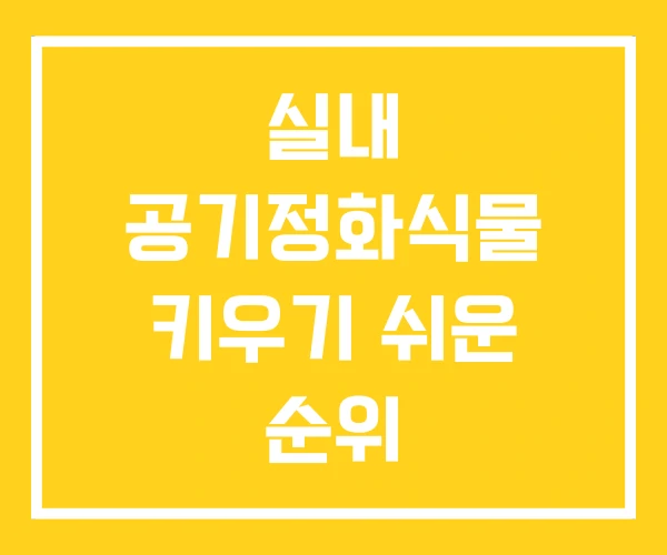 실내 공기정화식물 키우기 쉬운 순위 실내 공기정화식물 키우기 쉬운 순위