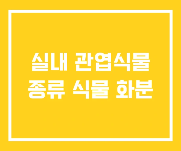 실내 관엽식물 종류 식물 화분
