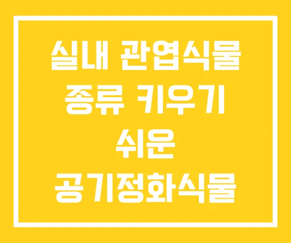 실내 관엽식물 종류 키우기 쉬운 공기정화식물 순위 실내 관엽식물 종류 키우기 쉬운 공기정화식물 순위