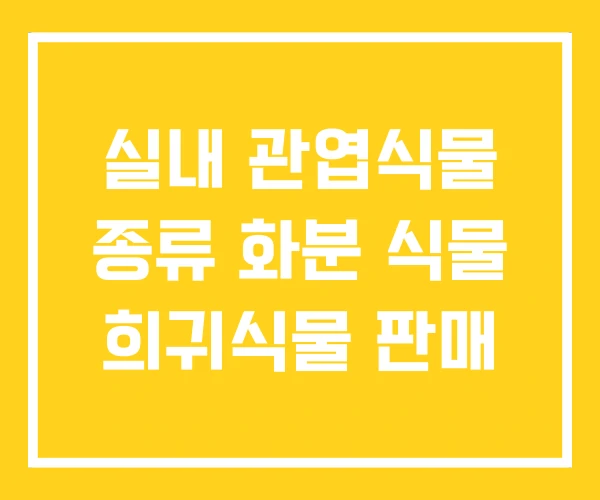 실내 관엽식물 종류 화분 식물 희귀식물 판매 실내 관엽식물 종류 화분 식물 희귀식물 판매