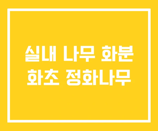 실내 나무 화분 화초 정화나무 실내 나무 화분 화초 정화나무