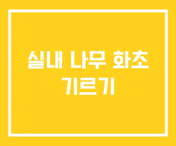 실내 나무 화초 기르기