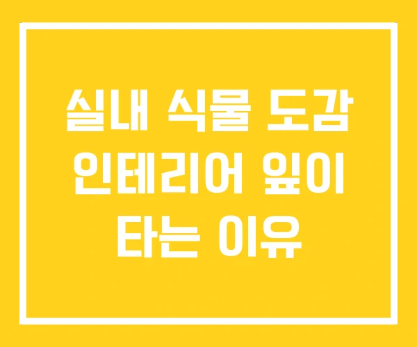 실내 식물 도감 인테리어 잎이 타는 이유 실내 식물 도감 인테리어 잎이 타는 이유