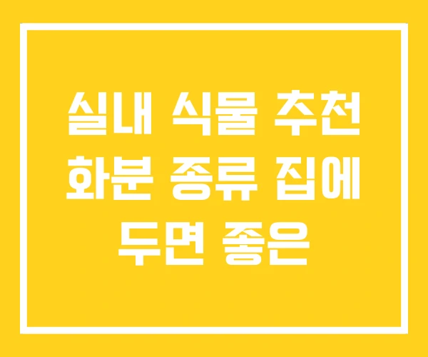 실내 식물 추천 화분 종류 집에 두면 좋은 실내 식물 추천 화분 종류 집에 두면 좋은