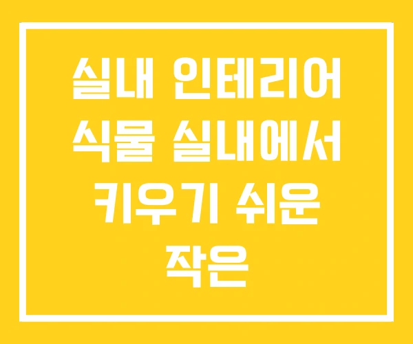 실내 인테리어 식물 실내에서 키우기 쉬운 작은 실내 인테리어 식물 실내에서 키우기 쉬운 작은