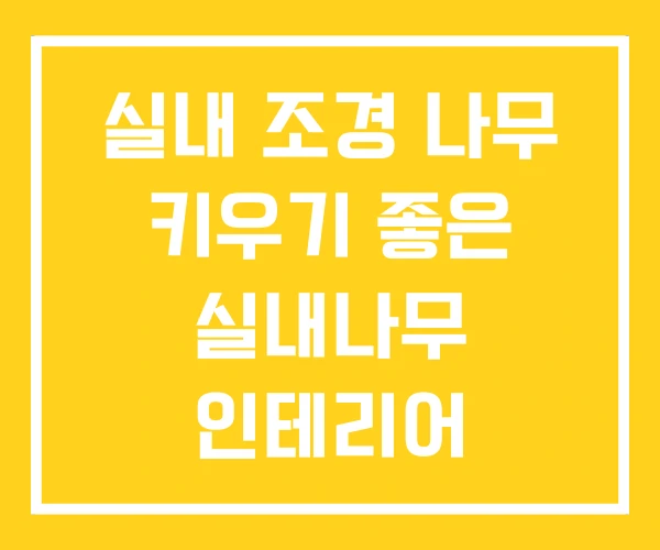 실내 조경 나무 키우기 좋은 실내나무 인테리어 실내 조경 나무 키우기 좋은 실내나무 인테리어