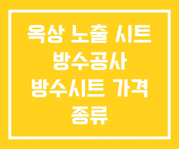 옥상 노출 시트 방수공사 방수시트 가격 종류
