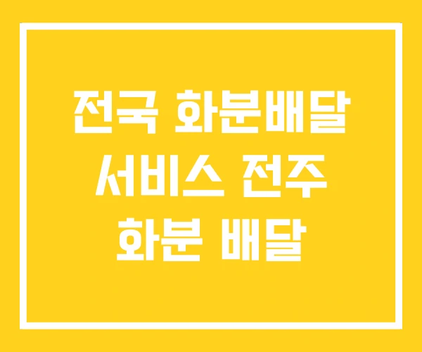 전국 화분배달 서비스 전주 화분 배달