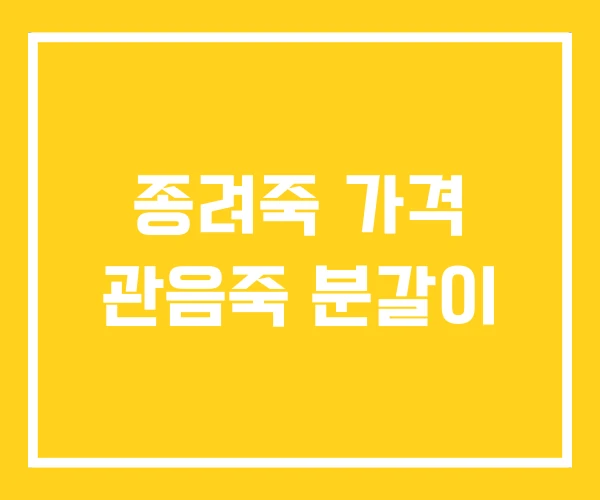 종려죽 가격 관음죽 분갈이