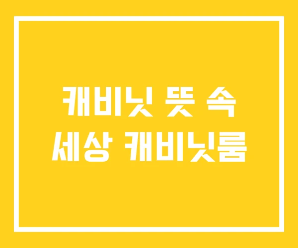 캐비닛 뜻 속 세상 캐비닛룸 캐비닛 뜻 속 세상 캐비닛룸