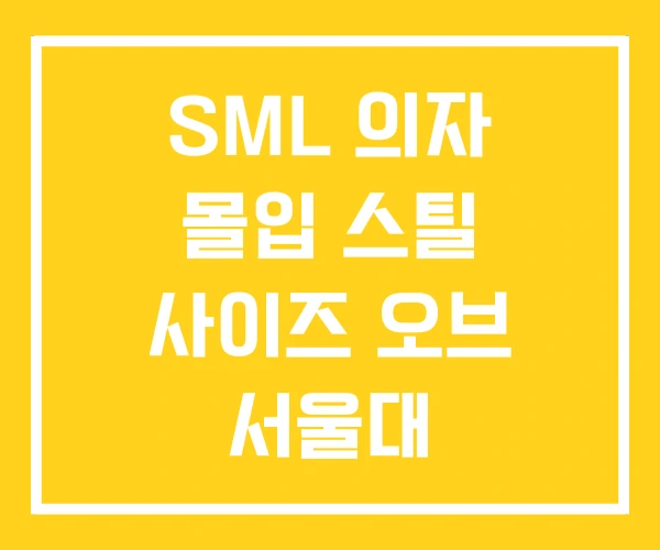 SML 의자 몰입 스틸 사이즈 오브 서울대