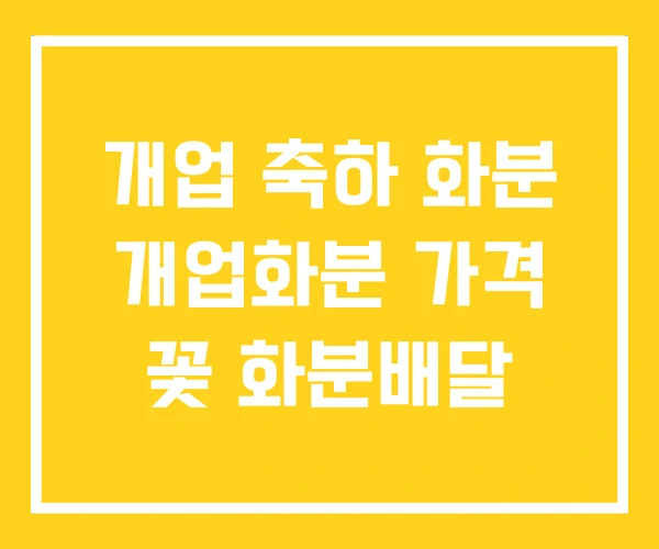 개업 축하 화분 개업화분 가격 꽃 화분배달