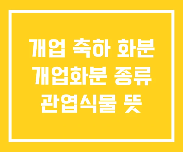 개업 축하 화분 개업화분 종류 관엽식물 뜻 개업 축하 화분 개업화분 종류 관엽식물 뜻