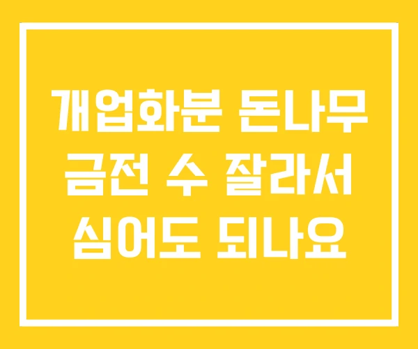 개업화분 돈나무 금전 수 잘라서 심어도 되나요