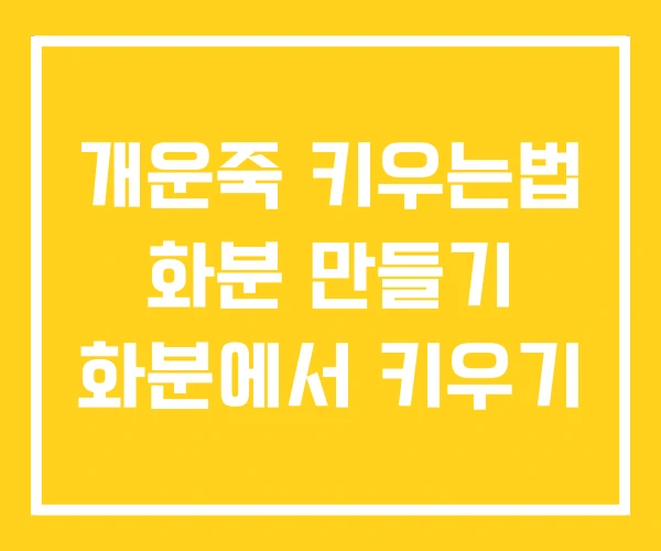 개운죽 키우는법 화분 만들기 화분에서 키우기 개운죽 키우는법 화분 만들기 화분에서 키우기