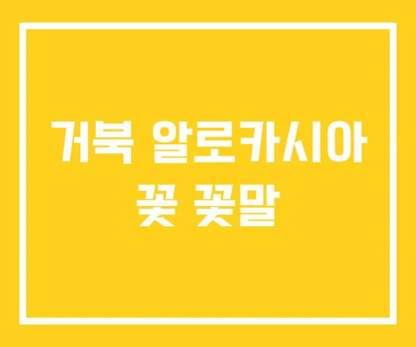 거북 알로카시아 꽃 꽃말