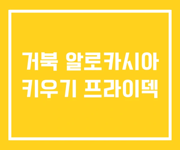 거북 알로카시아 키우기 프라이덱 거북 알로카시아 키우기 프라이덱