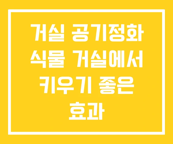 거실 공기정화 식물 거실에서 키우기 좋은 효과 거실 공기정화 식물 거실에서 키우기 좋은 효과