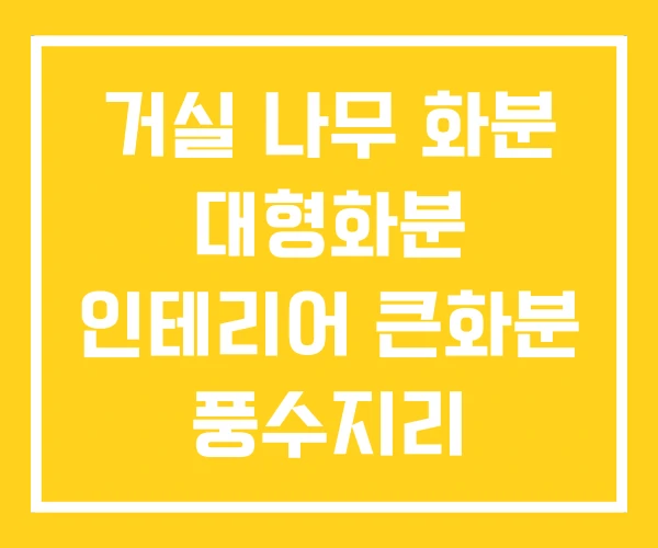 거실 나무 화분 대형화분 인테리어 큰화분 풍수지리 거실 나무 화분 대형화분 인테리어 큰화분 풍수지리