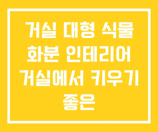 거실 대형 식물 화분 인테리어 거실에서 키우기 좋은