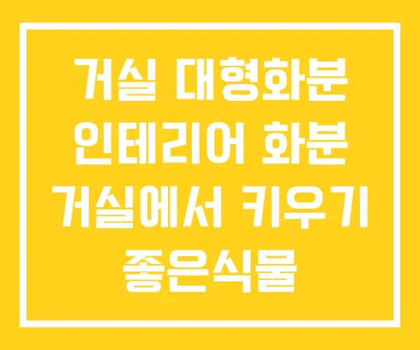 거실 대형화분 인테리어 화분 거실에서 키우기 좋은식물 거실 대형화분 인테리어 화분 거실에서 키우기 좋은식물