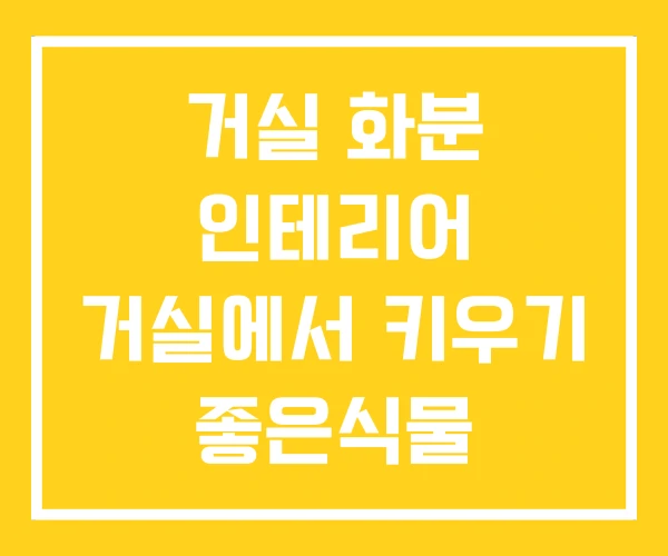 거실 화분 인테리어 거실에서 키우기 좋은식물 대형식물 거실 화분 인테리어 거실에서 키우기 좋은식물 대형식물