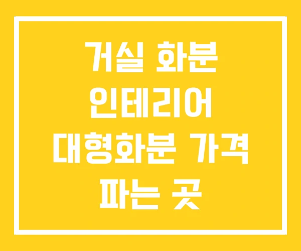거실 화분 인테리어 대형화분 가격 파는 곳 거실 화분 인테리어 대형화분 가격 파는 곳