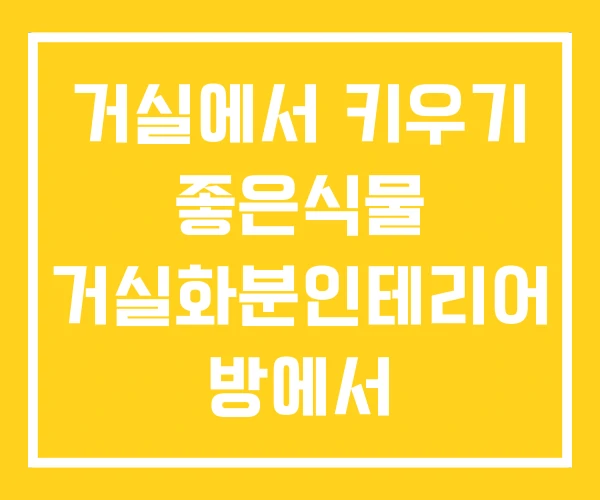 거실에서 키우기 좋은식물 거실화분인테리어 방에서